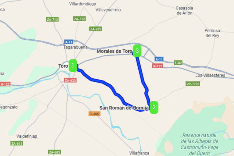 Mapa de TORO D.O