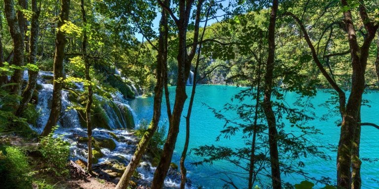 Vista de los lagos de Plitvice en Croacia con cascadas rodeadas de bosques y aguas turquesa en el Parque Nacional