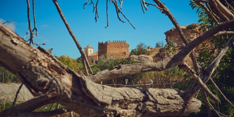 Paraje natural en Socovos, Albacete, rodeado de montañas y paisajes impresionantes