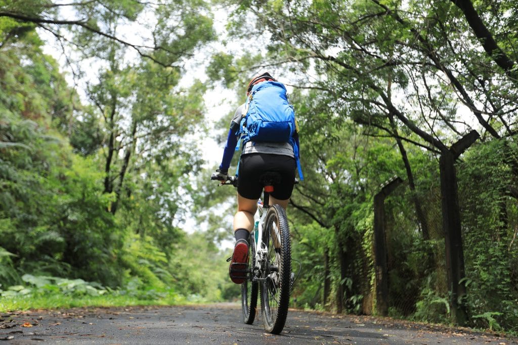 Ciclismo en plena naturaleza en Guipúzcoa, rodeado de paisajes verdes y montañosos.