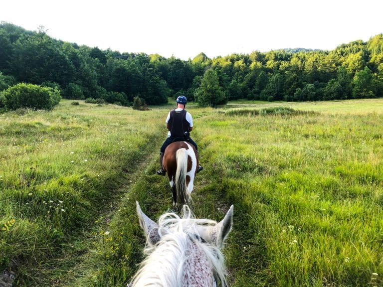 Paseo a caballo por Álava, rodeado de naturaleza y paisajes verdes.