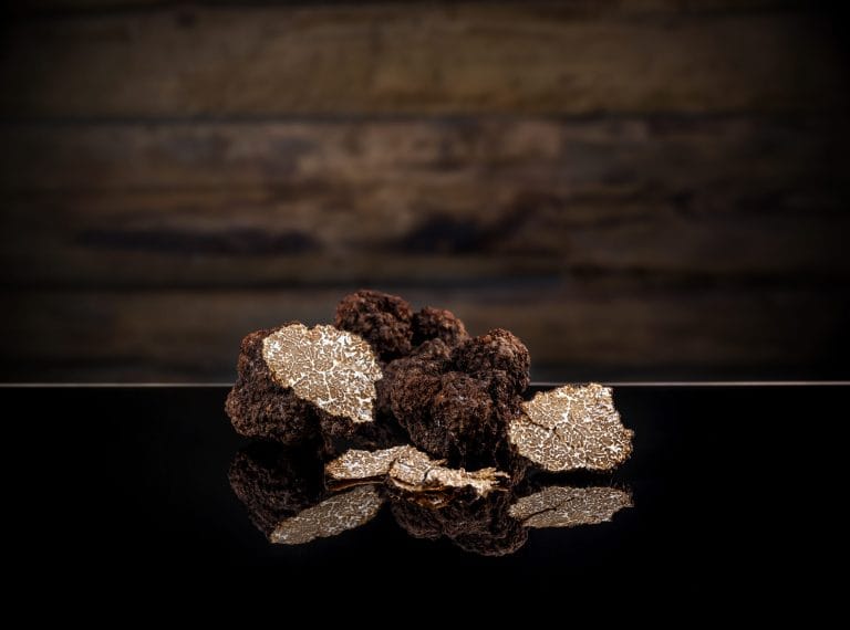 Trufas negras de otoño, ingrediente gourmet apreciado por su aroma y sabor intenso