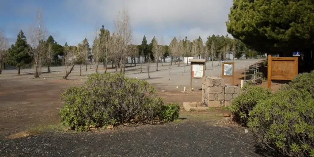 Área del Corral de Los Juncos