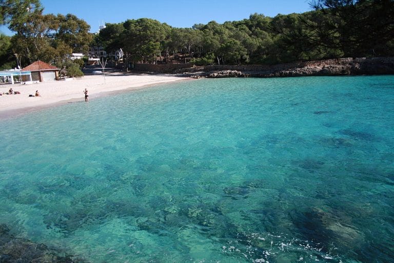 Cala Mondragó muestra una cala de arena blanca y aguas turquesas bordeada por un pinar denso y acantilados rocosos, con algunas personas en la orilla disfrutando del paisaje bajo un cielo despejado.