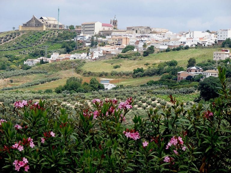 Vista panorámica de Montilla en Córdoba con viñedos en primer plano, casas blancas en la ladera y el castillo en la cima bajo un cielo nublado.