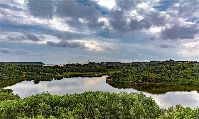 Panorámica de la laguna y humedal de S’Albufera des Grau en el Parc Natural de l’illa de Menorca, con agua tranquila que refleja el cielo nublado y vegetación mediterránea alrededor.