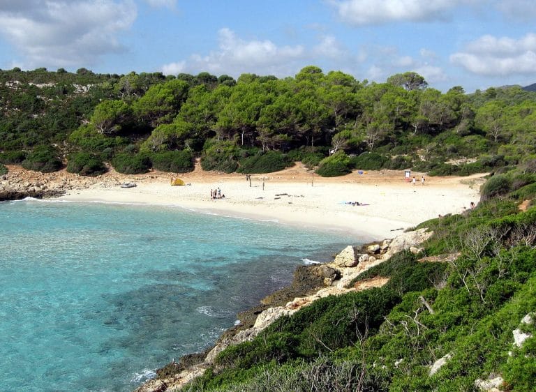 playa de arena blanca bordeada por aguas turquesas, con un pequeño grupo de personas en la orilla y un denso bosque de pinos al fondo.