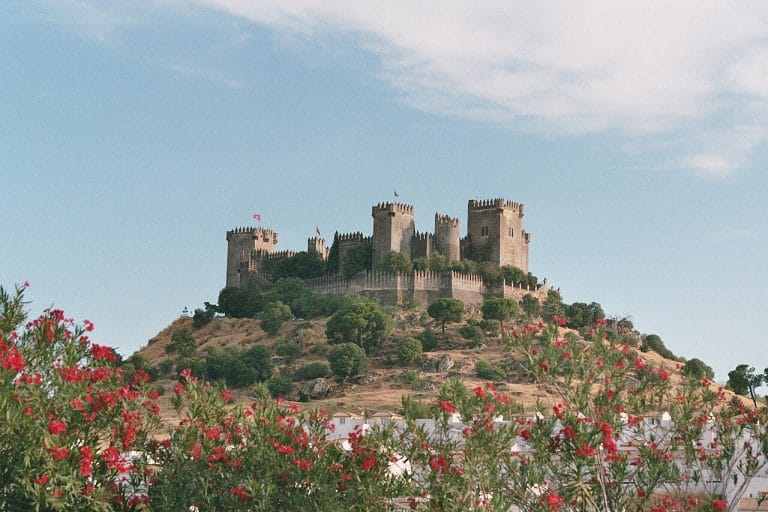 Castillo de Almodóvar del Río en lo alto de una colina con torres almenadas y murallas de piedra bajo un cielo azul, con arbustos floridos en primer plano.