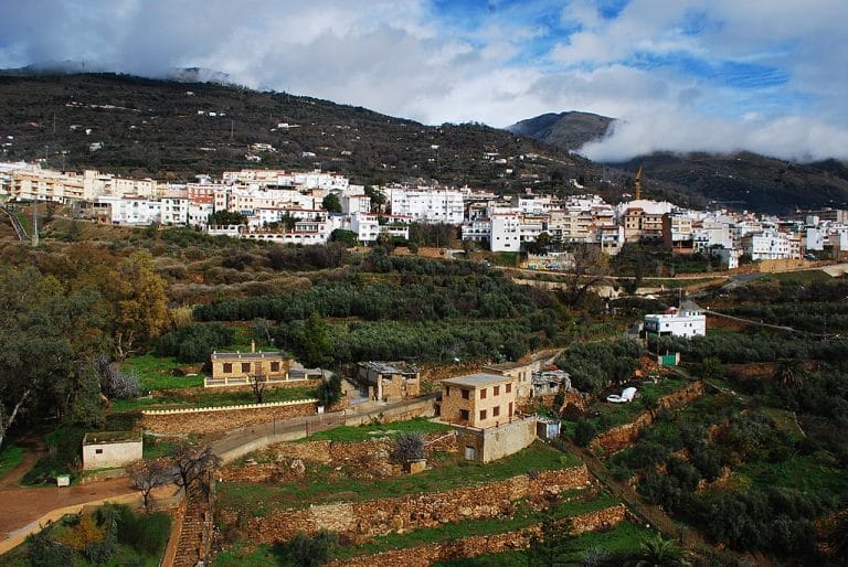 Castillo árabe en ruinas asentado sobre un promontorio rocoso con bancales de olivos y montañas al fondo.