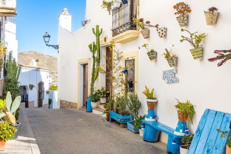 estrecha calle peatonal de mojácar con casas blancas, macetas colgantes y bancos azules llenos de suculentas bajo un cielo despejado