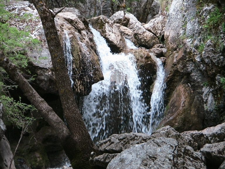 Nacimiento del Guadalquivir con agua cristalina brotando entre formaciones rocosas y vegetación densa.