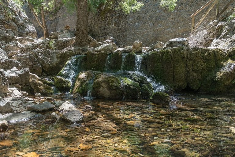 Nacimiento del Guadalquivir con agua cristalina brotando entre formaciones rocosas y vegetación densa.