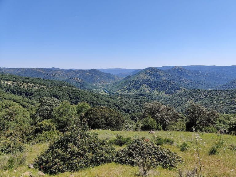 Vista panorámica del parque natural Sierra de Andújar con colinas verdes y vegetación densa bajo un cielo azul.