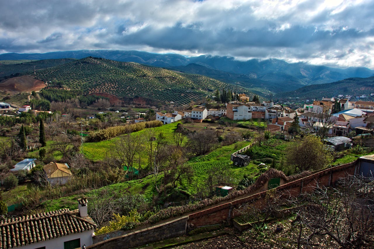 LA COLONIA PATRICIA CORDUBA
