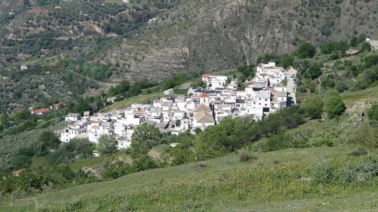 Vista panorámica del pueblo de Soportújar con sus casas blancas agrupadas sobre la ladera de la sierra y un prado con flores silvestres en primer plano.