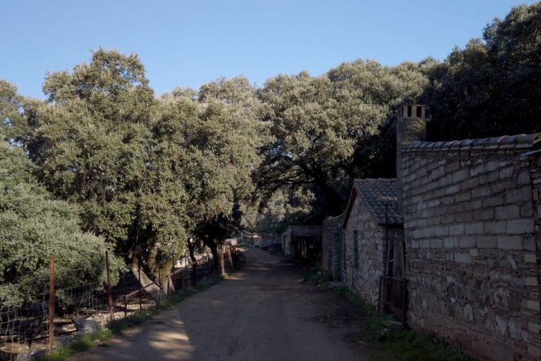 Persona caminando por un sendero rural de tierra rodeado de vegetación y campos abiertos