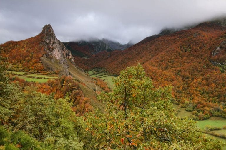 Panorama otoñal del Parque Natural de Somiedo: hayedo multicolor, pico rocoso escarpado y valle verde cubierto de nubes bajas