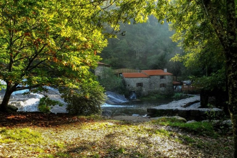 Molinos de Caldas de Reis junto al río, rodeados de vegetación autóctona en un entorno natural de la Reserva de la Biosfera.
