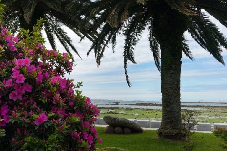 Jardines costeros en Cambados, Pontevedra, con flores de colores, una palmera y vistas a la ría con marea baja.