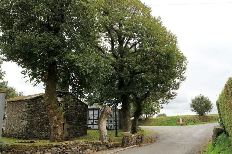 Cruce del Camino Inglés en Bruma, A Coruña, con iglesia y árboles centenarios
