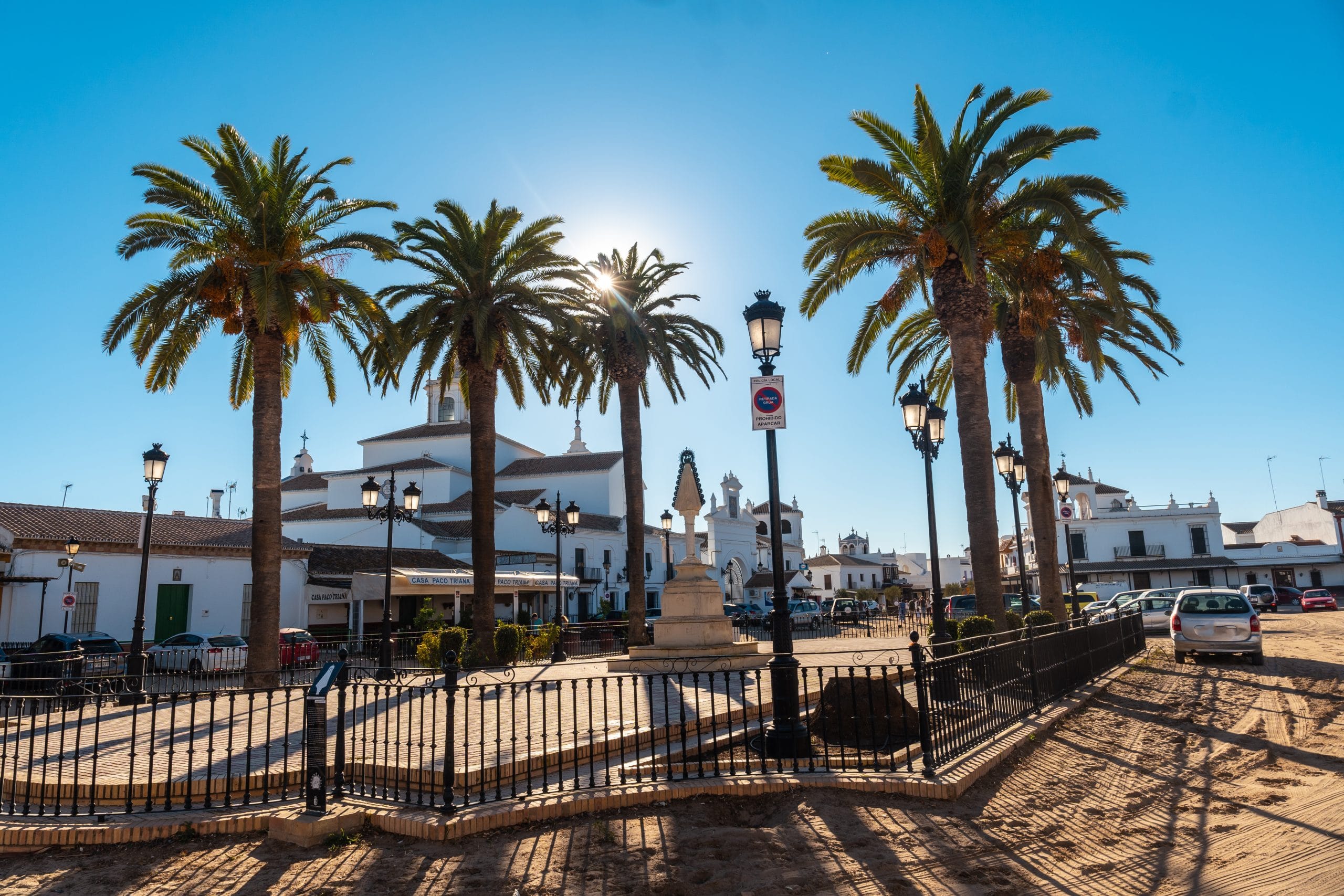 CORTEZA Y NÚCLEO