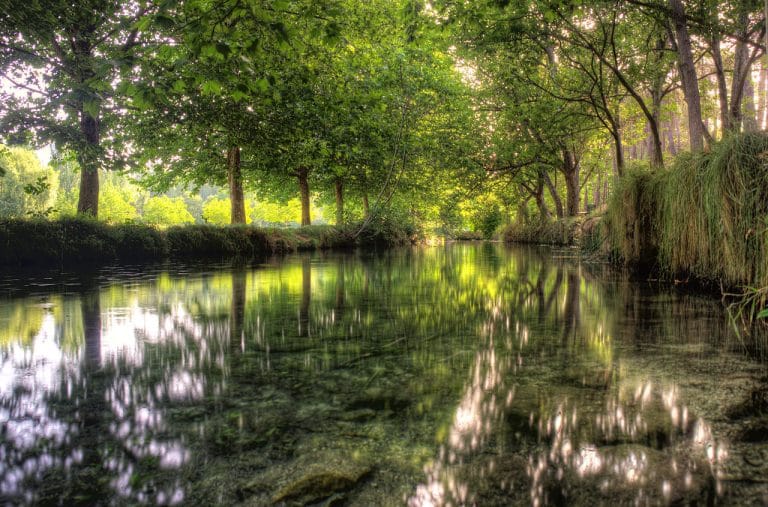 Vista del arroyo de fuentes del marqués con aguas cristalinas reflejando la abundante vegetación de árboles frondosos a ambos lados.