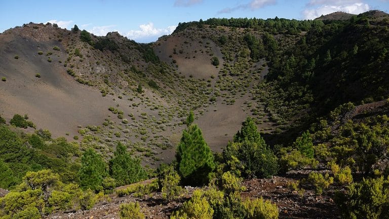 Vista del cráter volcánico de la Hoya de Fireba rodeado de pinos y matorrales en la isla de El Hierro.