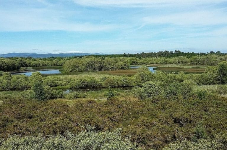 Vista panorámica del Lago de Cospeito, un humedal rodeado de vegetación en la provincia de Lugo