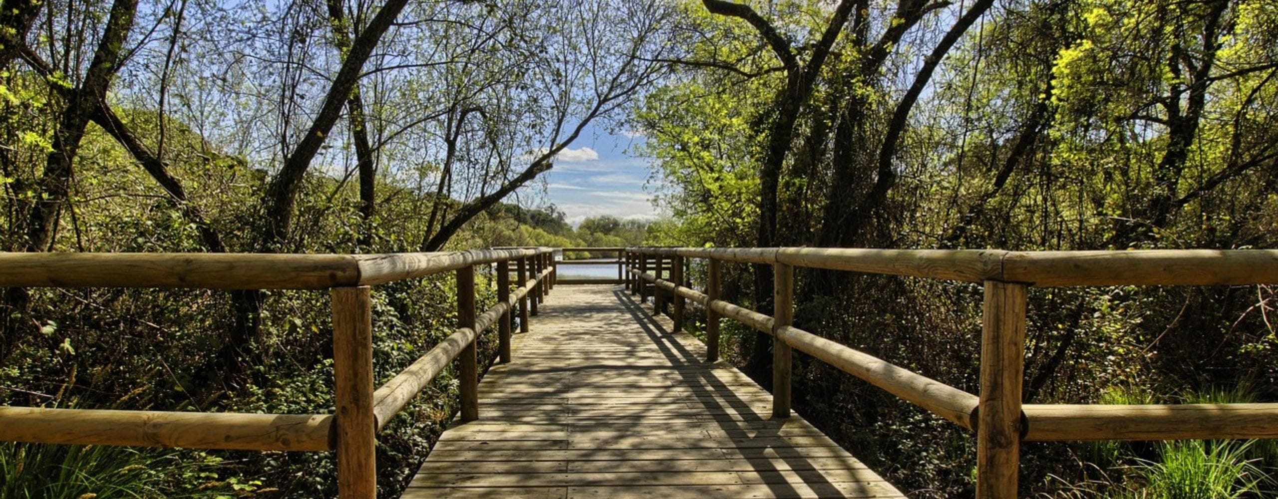 BELLEZA INTERIOR