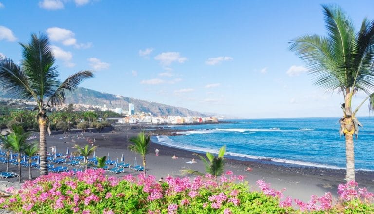 Playa Jardín en Puerto de la Cruz, Tenerife, con arena negra volcánica, palmeras y vistas al océano Atlántico