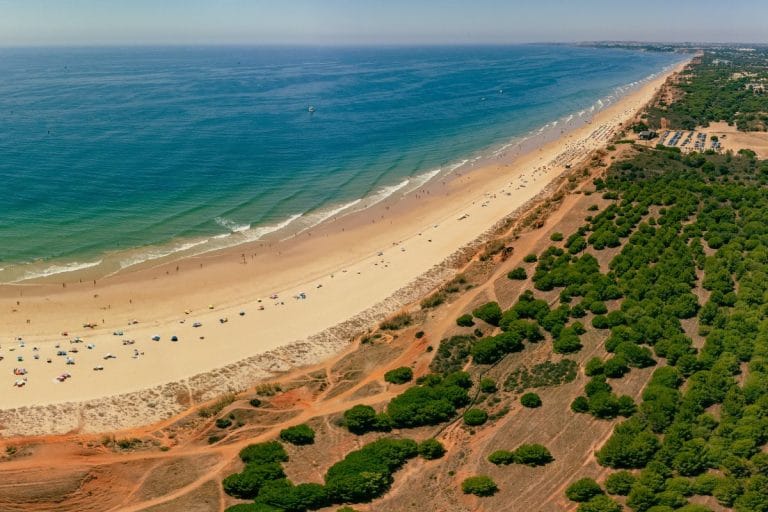 Vista aérea de Praia da Falésia en Vilamoura, con arena dorada, mar azul turquesa y zona de pinares junto a los acantilados rojizos.