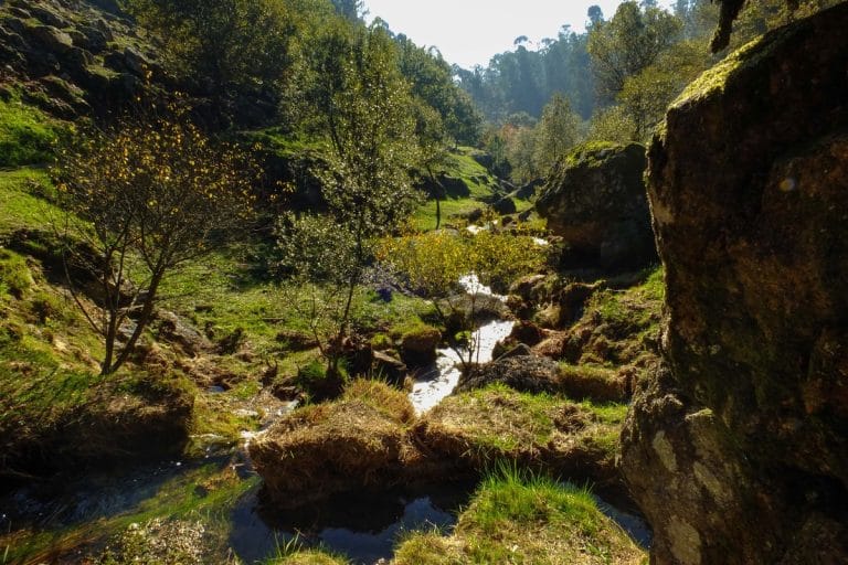 Paisaje de la Reserva de la Biosfera en A Guarda, con vegetación autóctona y arroyo entre rocas y praderas gallegas.