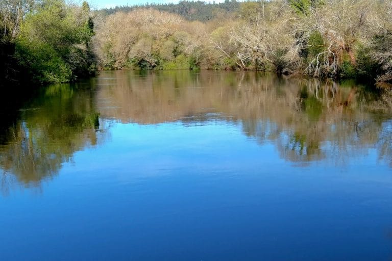 Reflejos en las tranquilas aguas del río Tambre a su paso por Sigüeiro, en el municipio de Oroso, rodeado de naturaleza y vegetación autóctona
