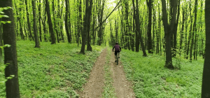 EUROVELO 3 POR GALICIA