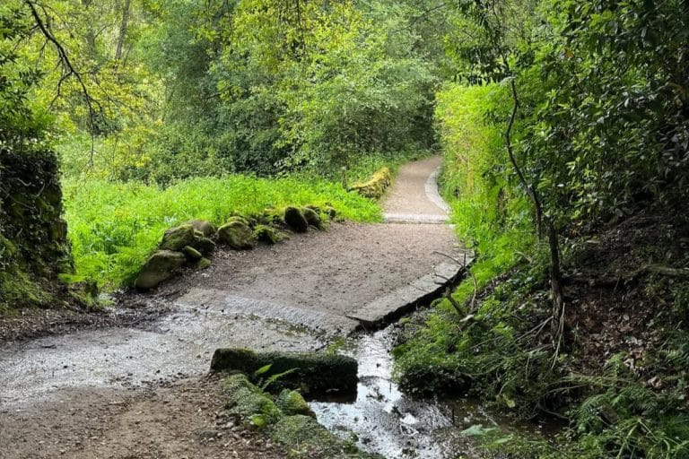 Camino forestal rodeado de vegetación y piedras cubiertas de musgo en Arcade, Pontevedra, con un arroyo cruzando la ruta.