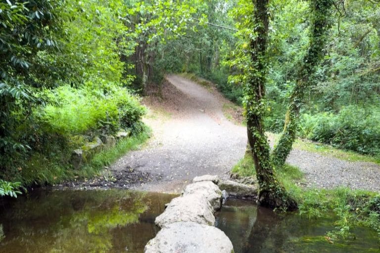 Camino rural rodeado de vegetación en un bosque de Arzúa, con piedras cruzando un pequeño arroyo.