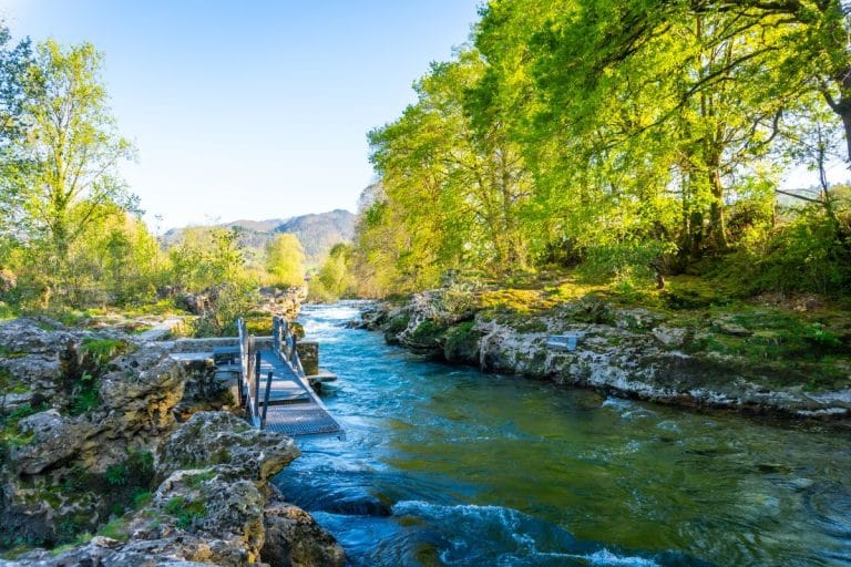 Sendero junto al río Sella en Cangas de Onís rodeado de vegetación frondosa y aguas cristalinas