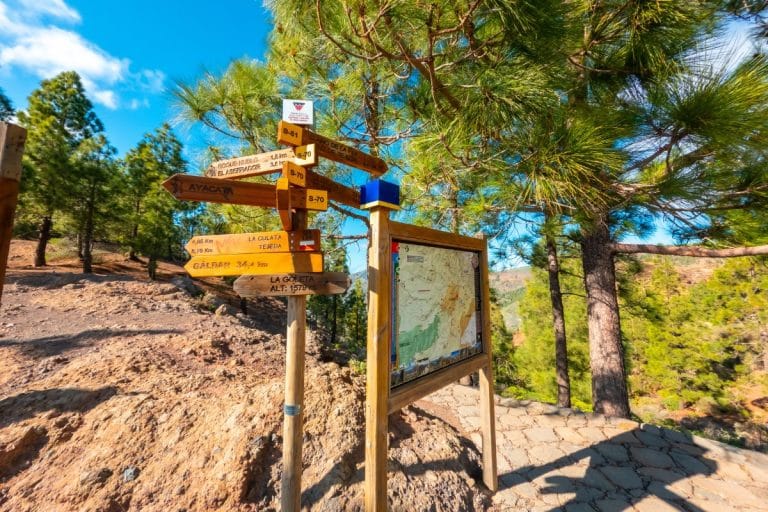 Señales de senderismo y panel informativo en La Goleta, acceso al Roque Nublo en Gran Canaria rodeado de pinos.