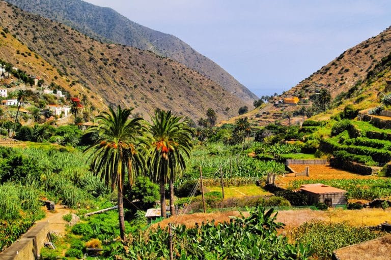 Vallehermoso en La Gomera, un paisaje rural con terrazas de cultivo, palmeras y casas tradicionales entre montañas.