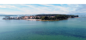 CARIBE GALLEGO