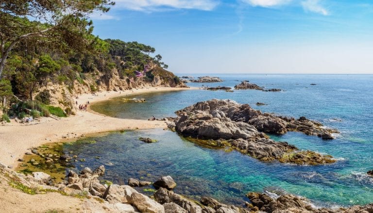 Vista panorámica de Cala Estreta, en Palamós (Costa Brava, Girona), con aguas cristalinas, arena dorada y entorno natural protegido.