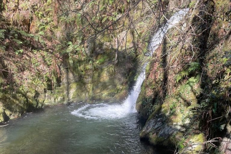 Cascada del Gorgollón en Pravia, Asturias, rodeada de vegetación y rocas cubiertas de musgo