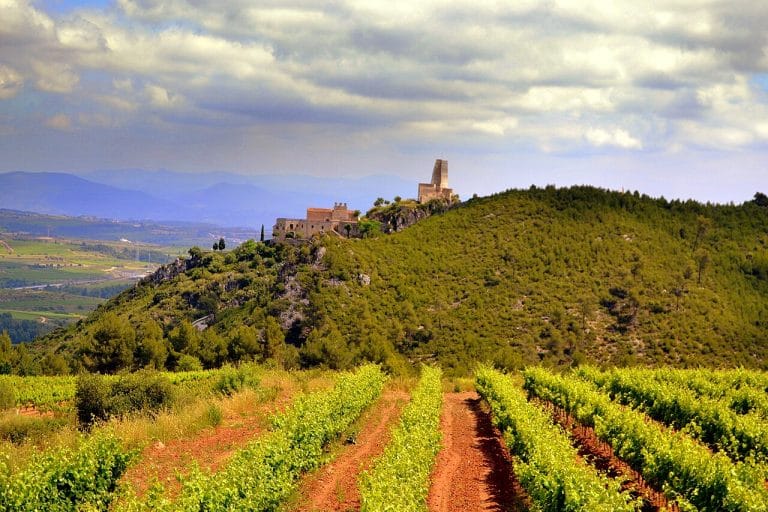 Vista del Castell de Subirats en el Alt Penedès rodeado de viñedos y colinas verdes