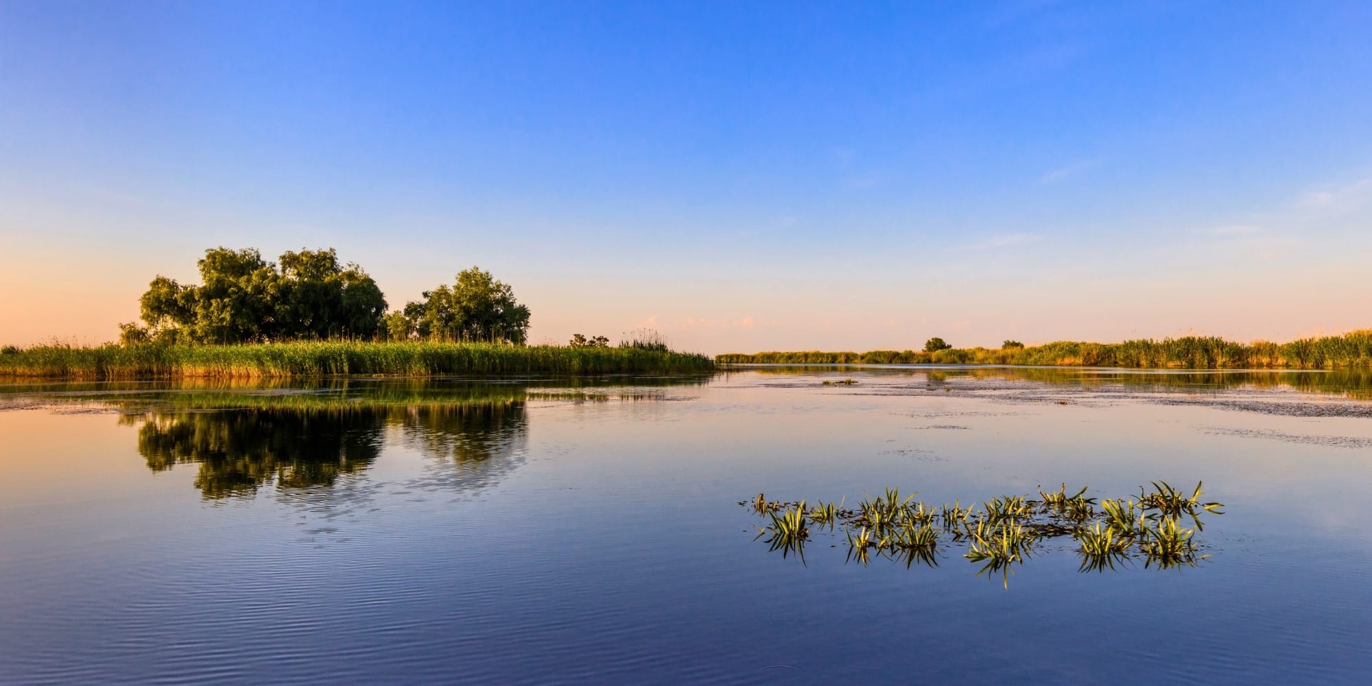 Lee más sobre el artículo EL AMAZONAS EUROPEO