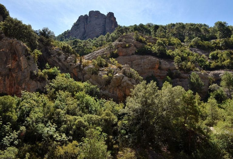 Formaciones rocosas y bosque mediterráneo en el Congost de Collegats, Pirineo de Lleida