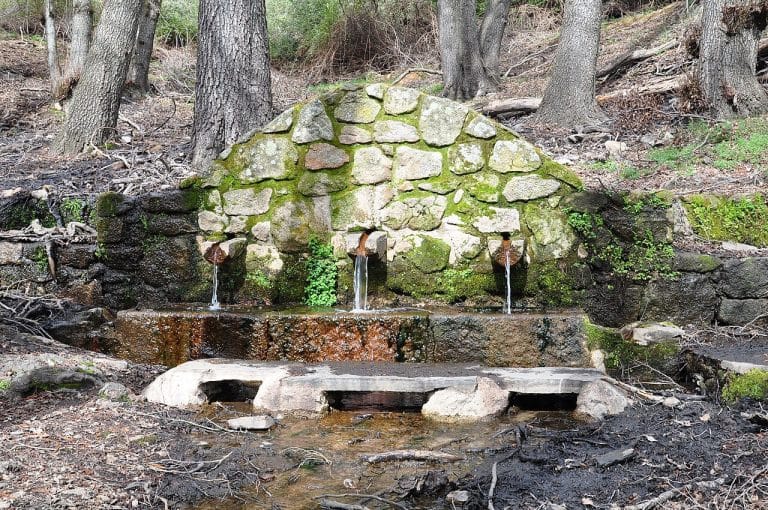Fuente natural de piedra en el Parque Nacional de Monfragüe, Cáceres, rodeada de vegetación y bosque autóctono