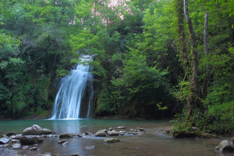 Cascada del Gorg de Malatosca rodeada de bosque, en Sant Joan de les Abadesses, Girona.