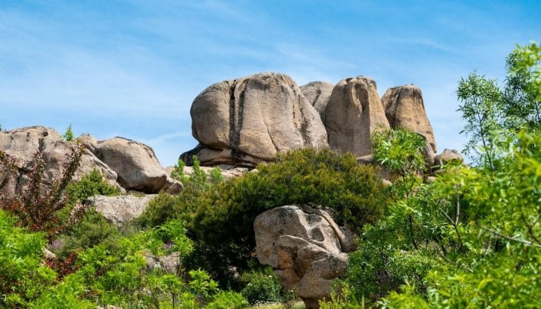 Grandes formaciones de granito en La Pedriza rodeadas de vegetación bajo un cielo azul