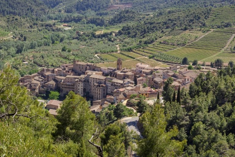 Vista aérea de La Vilella Baixa rodeada de viñedos y montañas en la comarca del Priorat