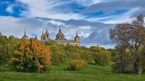 DE PINOS POR LOS MADRILES